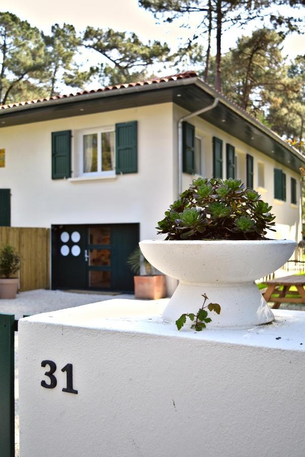 Julia Blue, Villa Hostal Naou Hossegor - Sauna - Salle De Sport - Wifi - Netflix Soorts-Hossegor Eksteriør billede
